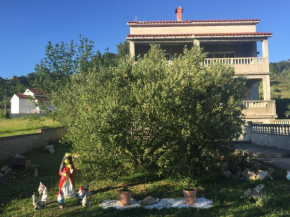 Apartment Stela